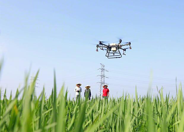 植保無人機助力水稻病蟲害防治(圖1) 植保無人機助力水稻病蟲害防治(圖1)