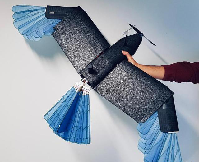 最新研發(fā)鳥型無人機(jī) 可在城市森林等密集環(huán)境轉(zhuǎn)彎避障(圖2) 最新研發(fā)鳥型無人機(jī) 可在城市森林等密集環(huán)境轉(zhuǎn)彎避障(圖2)