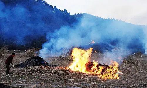 千里眼無人機監(jiān)控焚燒秸稈污染環(huán)境行為(圖1)